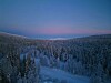 Lumipeitteinen metsä ja aukea talvimaisema sinisessä hämärässä.