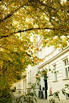 Vaalea hotellirakennus kadun varrella, syksyiset puiden lehdet peittävät yläosan.