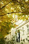 Vaalea hotellirakennus kadun varrella, syksyiset puiden lehdet peittävät yläosan.