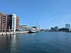 Vesistö, modernit asuintalot, venesatama, purjeveneitä ja silta kirkkaan taivaan alla.